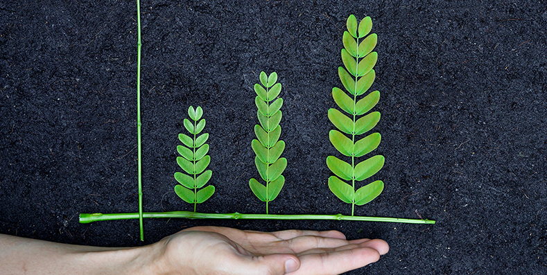 Tecnologia e sustentabilidade no escritório de advocacia com andré luso